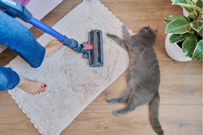 Housekeeping Deep Extraction Cleaning