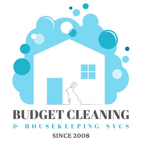 Professional home cleaning services