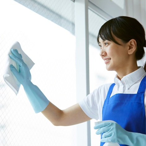 Professional Housekeeping Services
